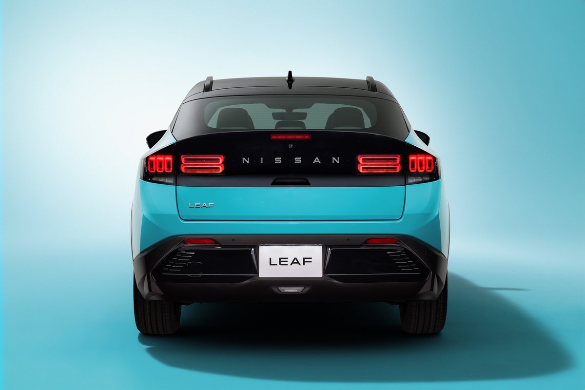Nowy_Leaf_back Nowy_Leaf_back