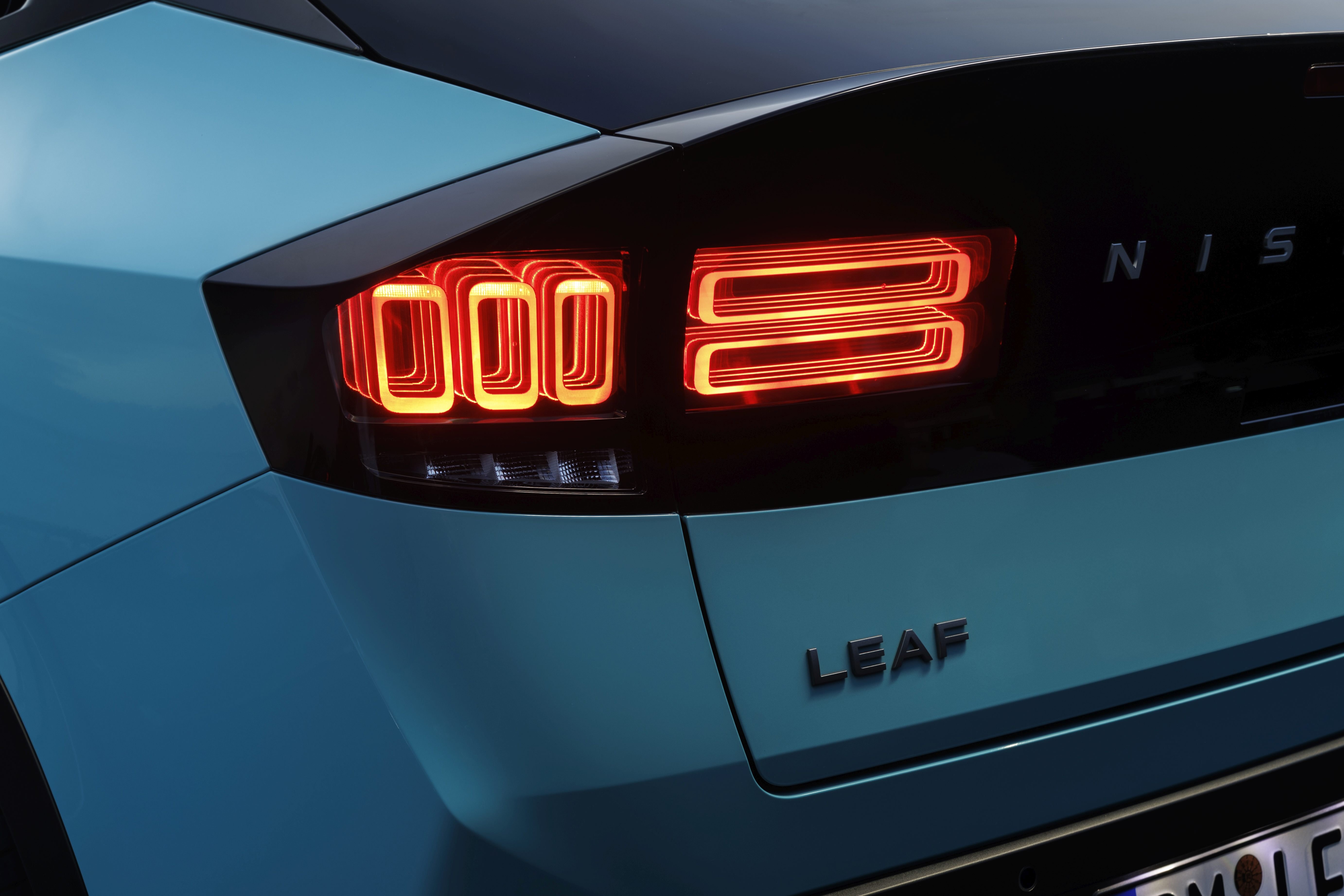 new_leaf_2026_6